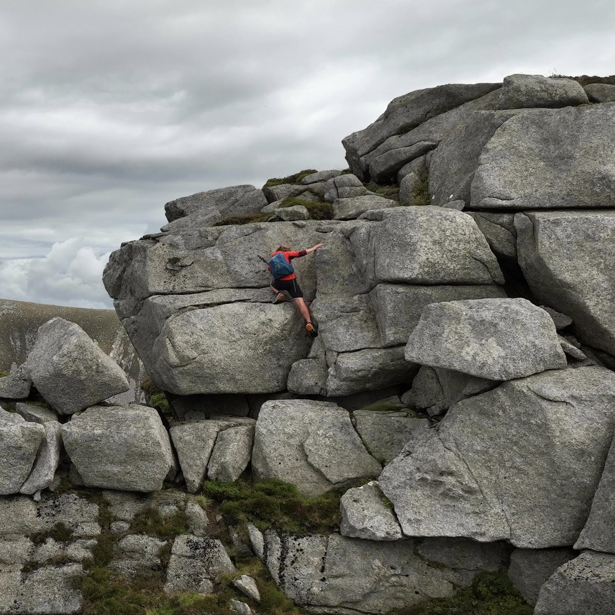 DundeeMntFilmFest tweet media