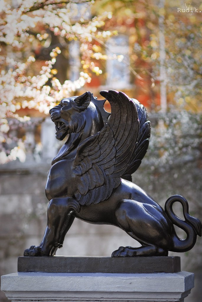 Катерина Галич tweet media