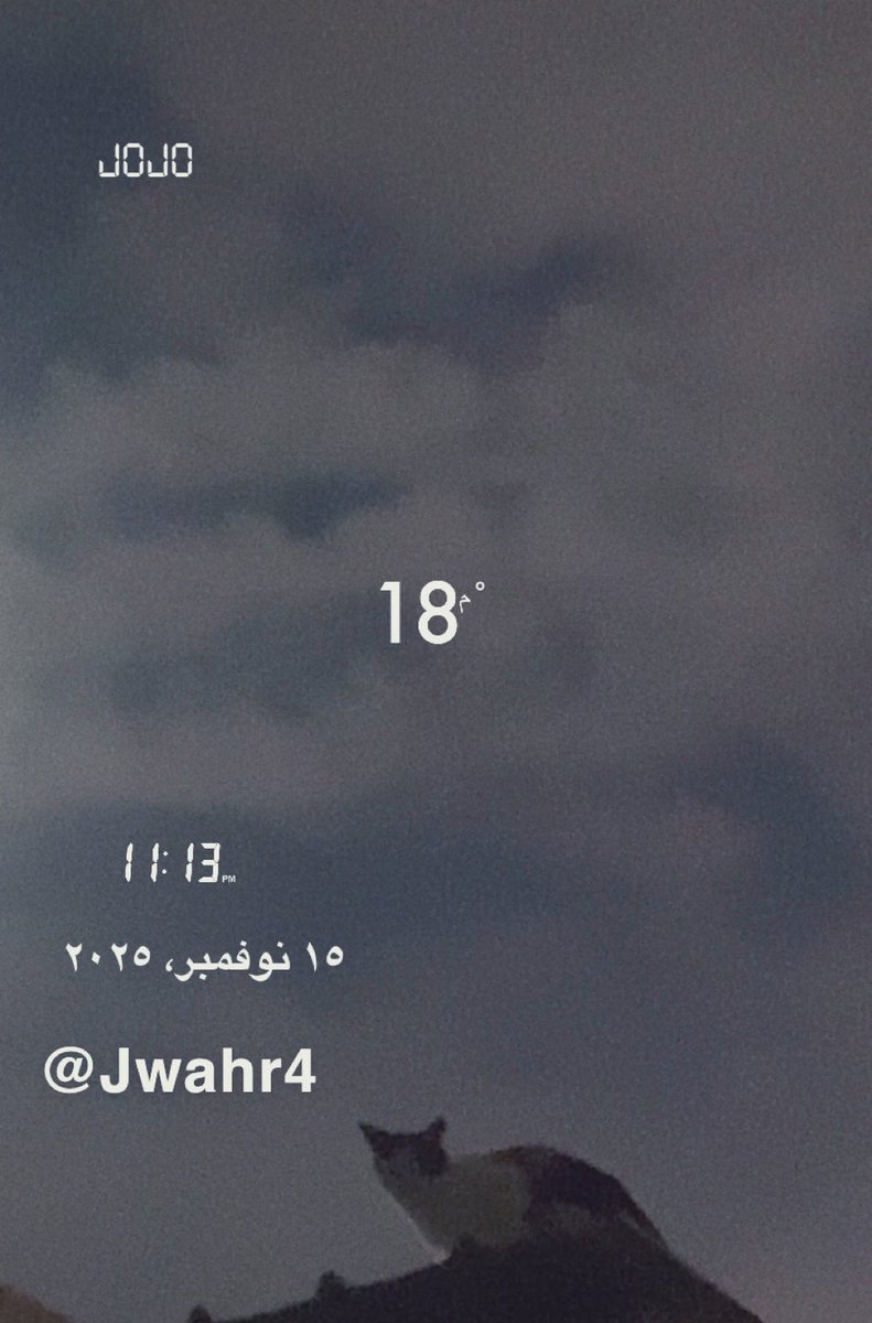 🤍

〰️
مع ها لأجـــواء مـــاراح أنــام ولا أفكــر 
بسهر معك للصبـاح لما الله يفرجها 🎵❤️🌨️🕊

    ______________🎻_____________

.
#بوح_آخر_الليل 
#تصويري ..والقطه تناظرني 😊
.