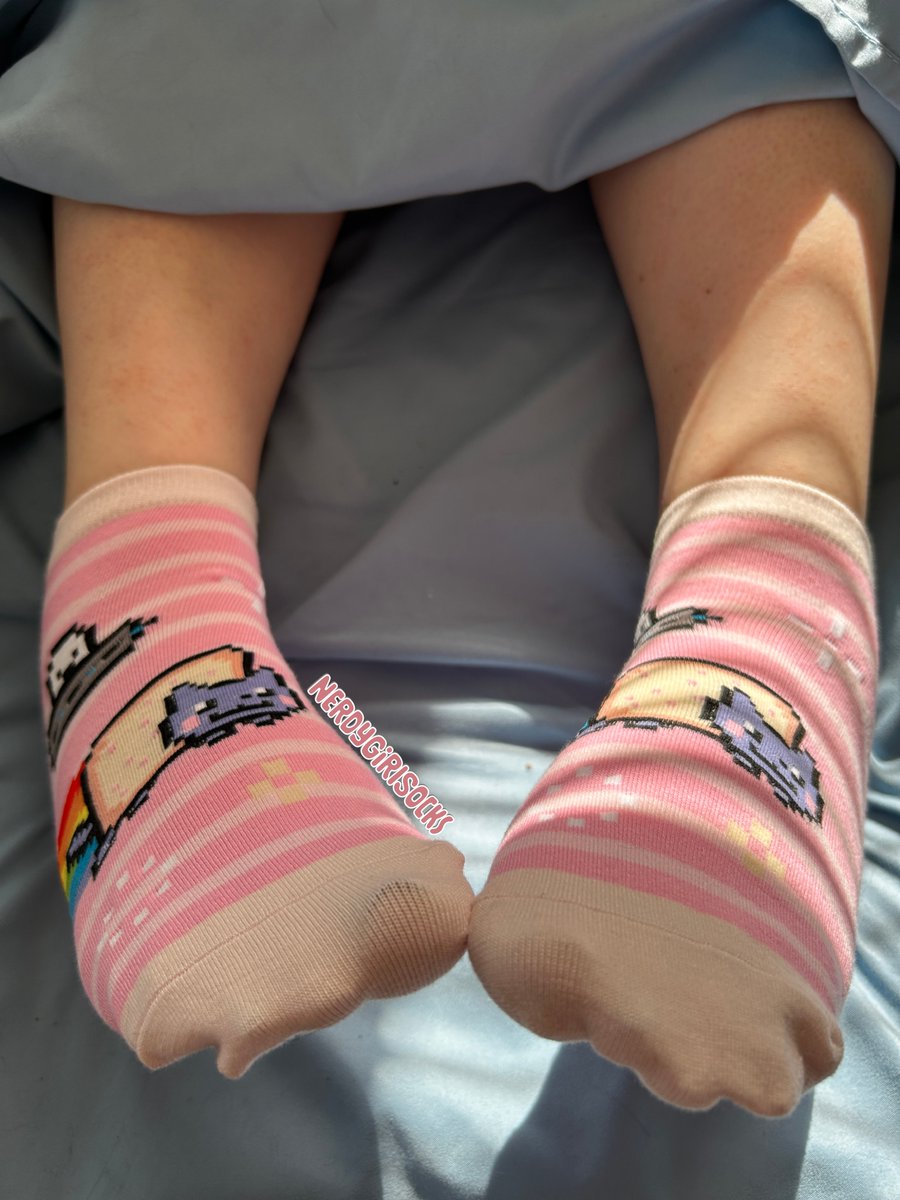 NerdyGirlSocks's tweet image. Some pic from earlier today. I love the soft morning light and these really cute Nyancat socks. I hope you do too. 🥰

#nyancat #pinksocks #anklesocks #cutesocks #socks #socken #pieds #explore #fypシ