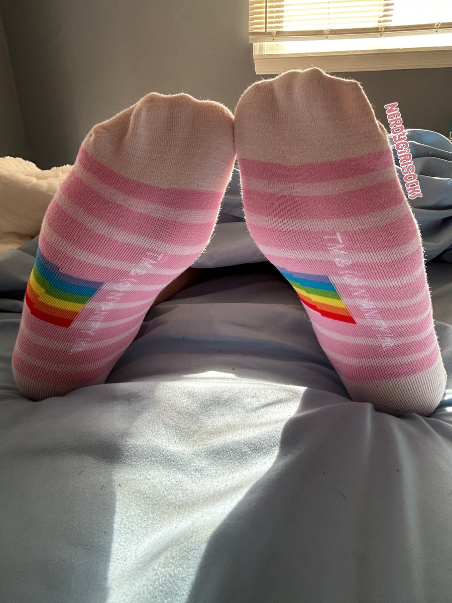 NerdyGirlSocks's tweet image. Some pic from earlier today. I love the soft morning light and these really cute Nyancat socks. I hope you do too. 🥰

#nyancat #pinksocks #anklesocks #cutesocks #socks #socken #pieds #explore #fypシ