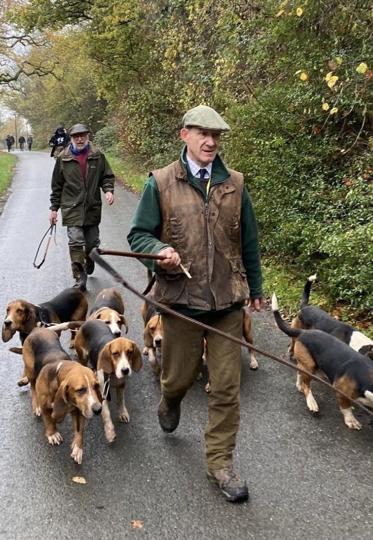Great hare-saving work today by Suffolk &amp; Essex Hunt Sabs who packed up De Burgh &amp; N. Essex Bassets. Please support them with a donation:

✊🐰

linktr.ee/SuffolkandEsse…