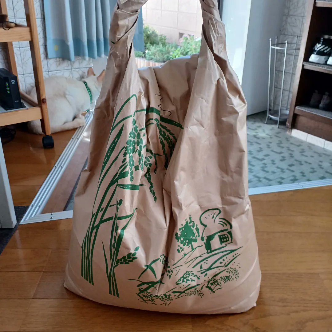 Hiroshi1970Cat's tweet image. ☀️🙋‍♀️❗おはよう✨新米昭和定食🍴😋🍚ひろし🌞　ご飯がおいしいネ。😩くびれがなくなる💦今日もよろしく😃✌️

#ねこ宇宙 #看板ねこ #まねきねこ #笹かま猫 #ねこのいる整体サロン #新米 #昭和定食