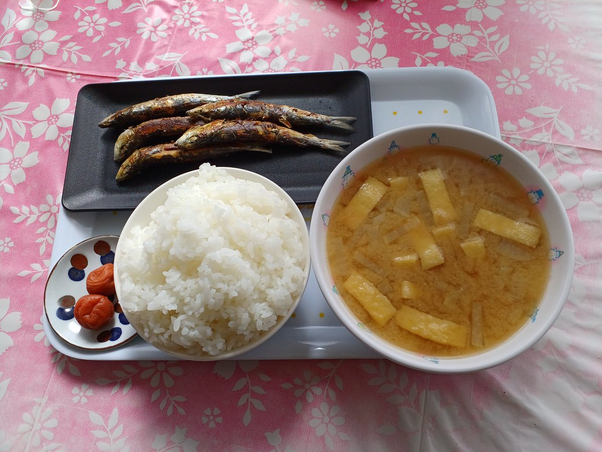 Hiroshi1970Cat's tweet image. ☀️🙋‍♀️❗おはよう✨新米昭和定食🍴😋🍚ひろし🌞　ご飯がおいしいネ。😩くびれがなくなる💦今日もよろしく😃✌️

#ねこ宇宙 #看板ねこ #まねきねこ #笹かま猫 #ねこのいる整体サロン #新米 #昭和定食