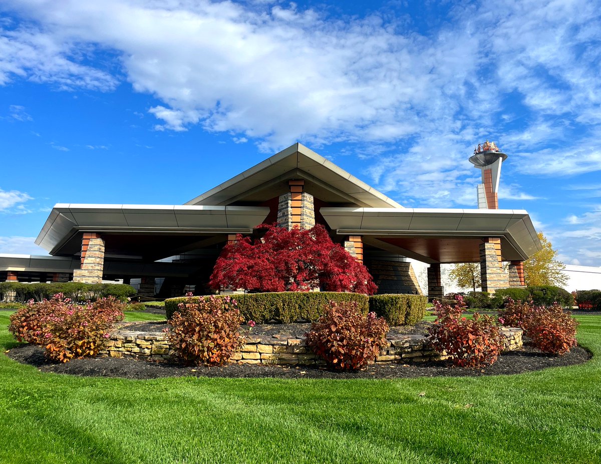 Fall vibes and blue skies 🍂