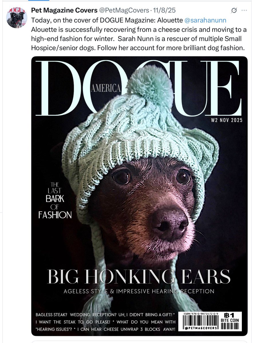 sarahanunn's tweet photo. OMD! Alouette is a cover-girl! 
It’s going to her head! She’s such a diva! She’s demanding satin sheets, bacon in bed &amp; a gold water bowl. 
Thanks to @PetMagCovers for featuring her. I’m so proud of her! 
❤️❤️❤️
#covergirl #DivaDog #DogsWearingHats #RescueDog #DogsofTwitter https://t.co/DykBwPq3MC