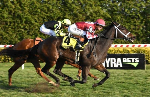 Horse Racing Nation tweet media