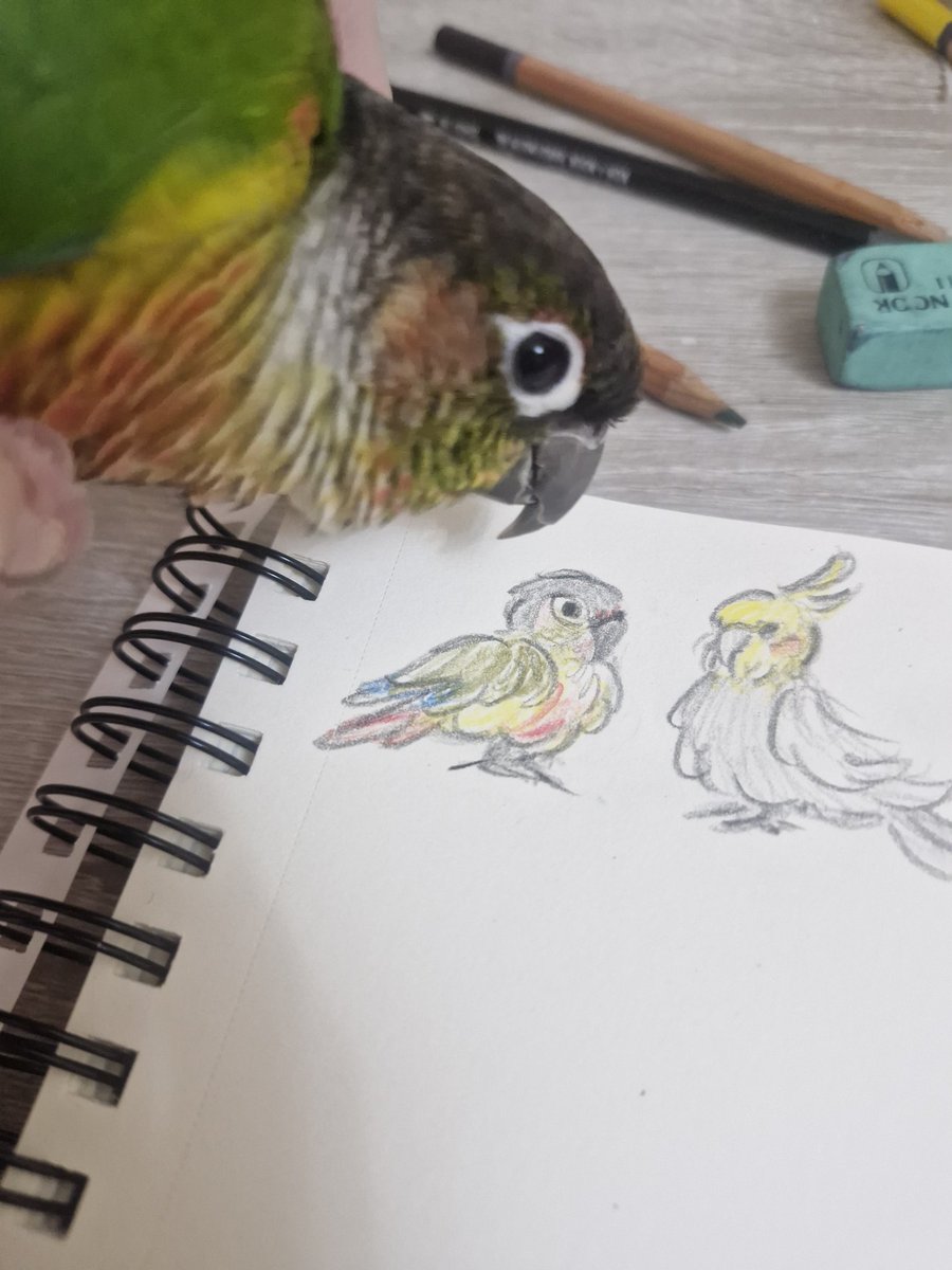 Sofpennn's tweet photo. :3 https://t.co/iAccNMUywK