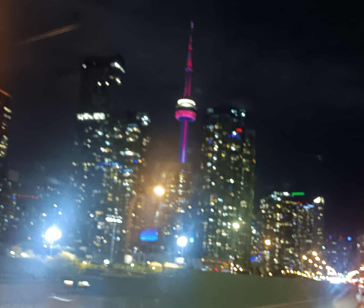 Cristina C. Clement MS PhD tweet media