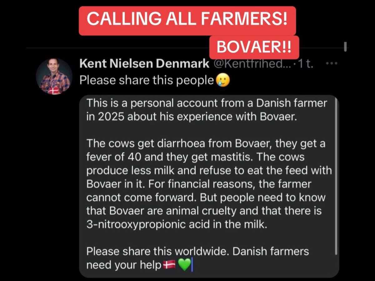 <a href="/RMistereggen/">Rebecca Mistereggen</a>