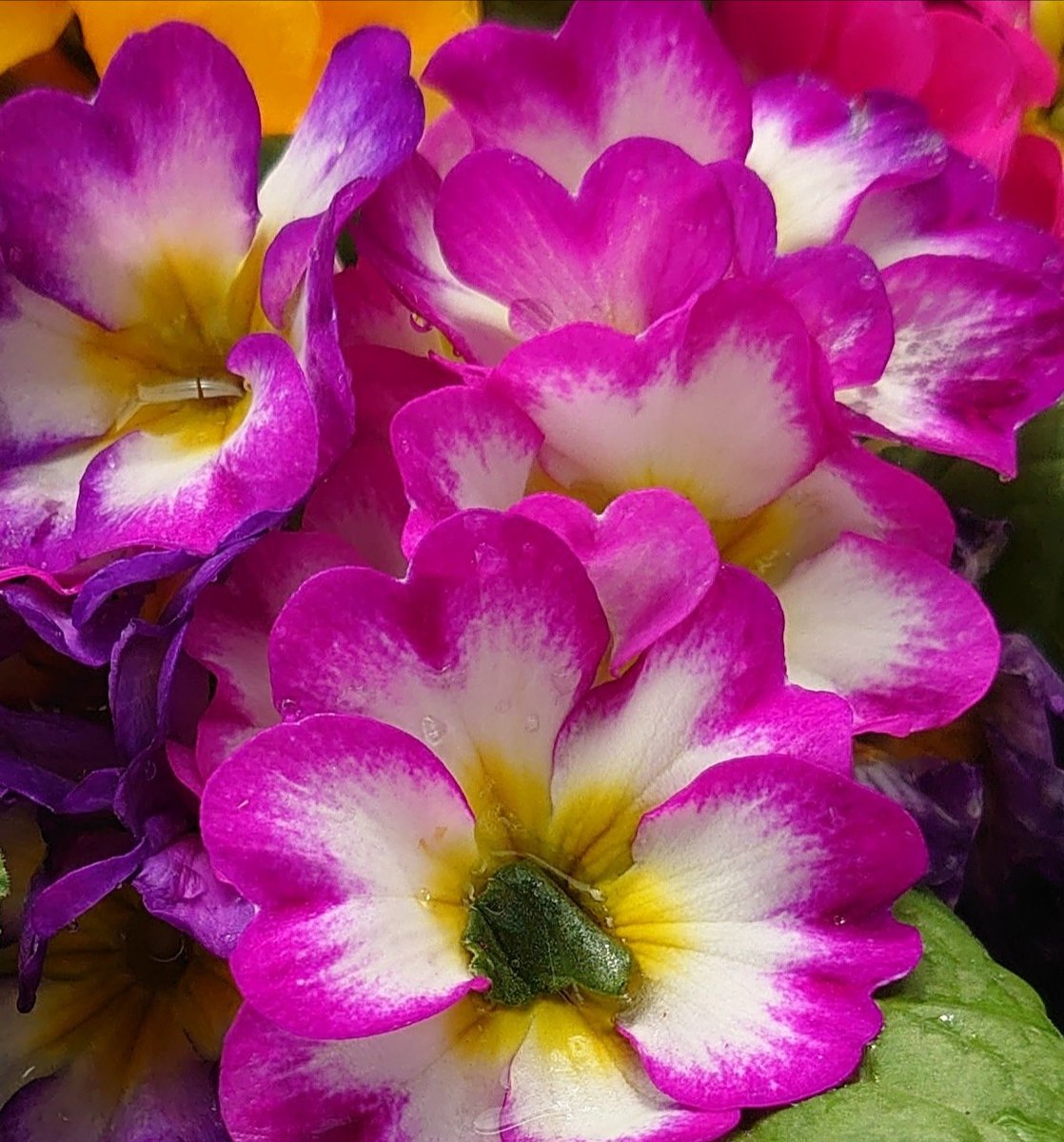 おはようございます✨

自分の為だけでなく
愛する人の為
家族の為
仲間の為
会社の為
いろんな存在があるから
頑張れてると思うし
辛い時の自分を支えていると思う

人の為に頑張れる自分を誇りに持とう

今日も素敵な１日を🤗🍀