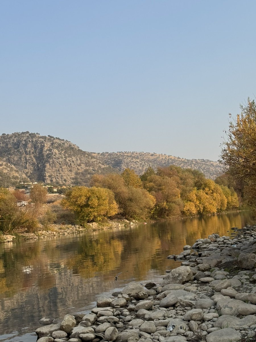 studywithvee's tweet image. A little break from studying~
We went on a trip with my dental colleagues 🍂🏞️

#unitwt
