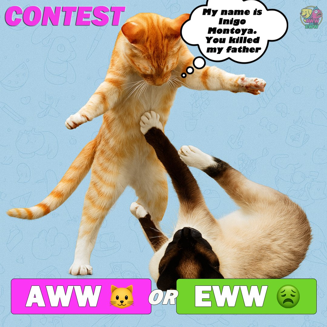 NFT CONTEST THREAD:

#AWWorEWW #CryptoMarket #Base #Contest