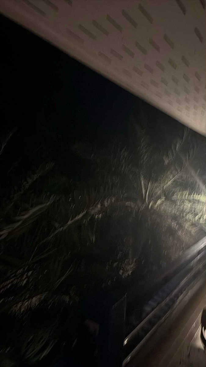 FYMTommyGuru's tweet image. Guru checking in from deep in the jungle of Koh Larn Island #Repeat