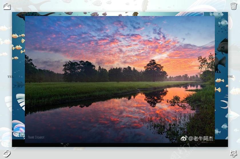 🌉It's okay to outgrow things that once brought you joy.🏬Happiness felt, again. Yes.