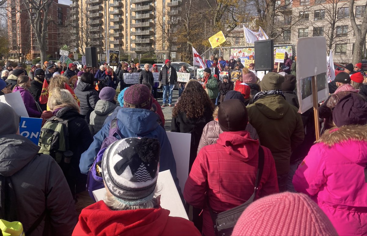 Stephen Archibald tweet media