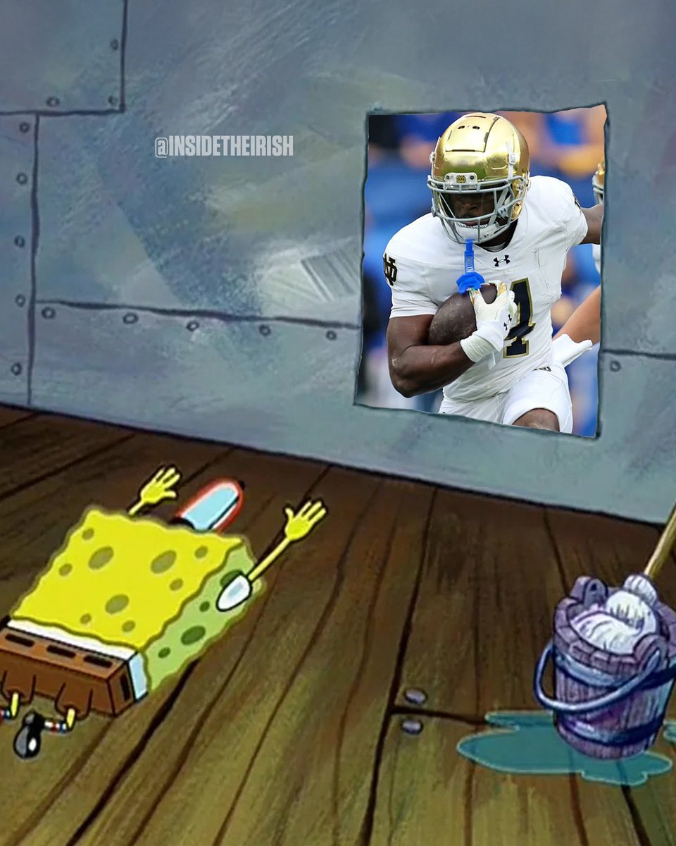 Notre Dame Fighting Irish tweet media