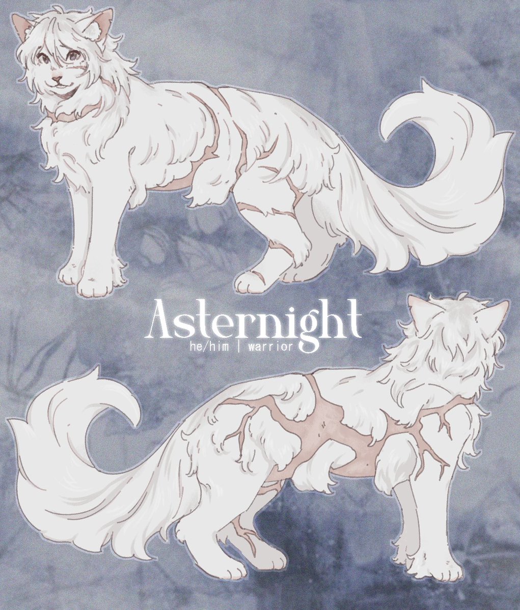 ang3lsbride's tweet image. turn your fav into a warrior cat #warriorcats #oc