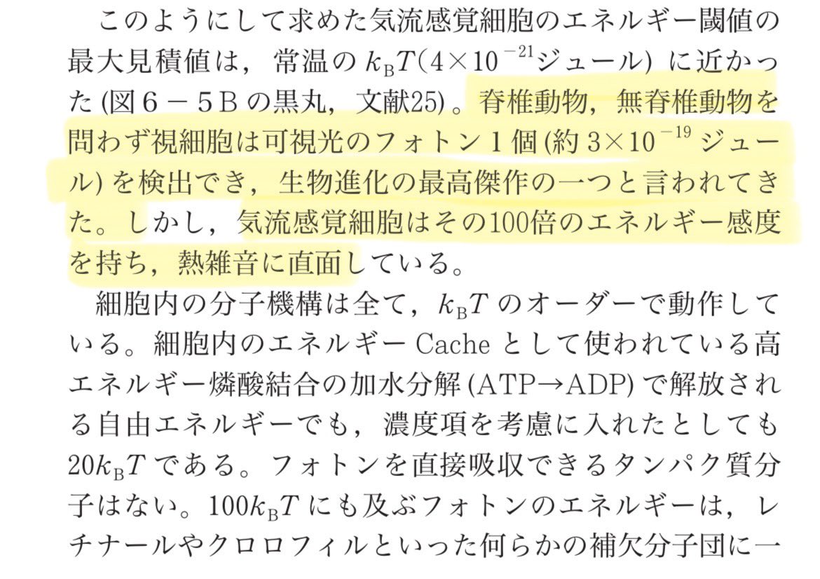 katzkagaya's tweet image. 生物学のための情報論から。「1個の光子」（フォトン）というと小さなエネルギーをイメージしてしまう。他の感覚器官のほうが敏感。敏感すぎるので束にして並列化による利用がなされている。#神経系は東
