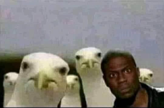 Devil's Tear 🎮 (@devilstear94) on Twitter photo 