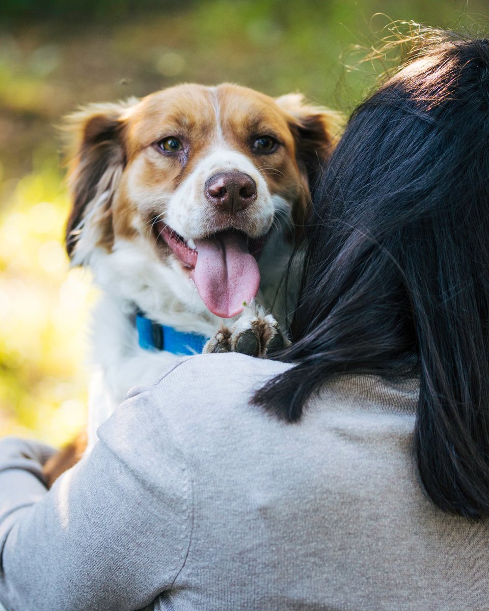 🐾 Traveling with your furry friend? We welcome pets with open arms! Enjoy relaxing walks on the grassy areas, spacious rooms, and a prime location steps away from all the pet-friendly fun Orlando has to offer.