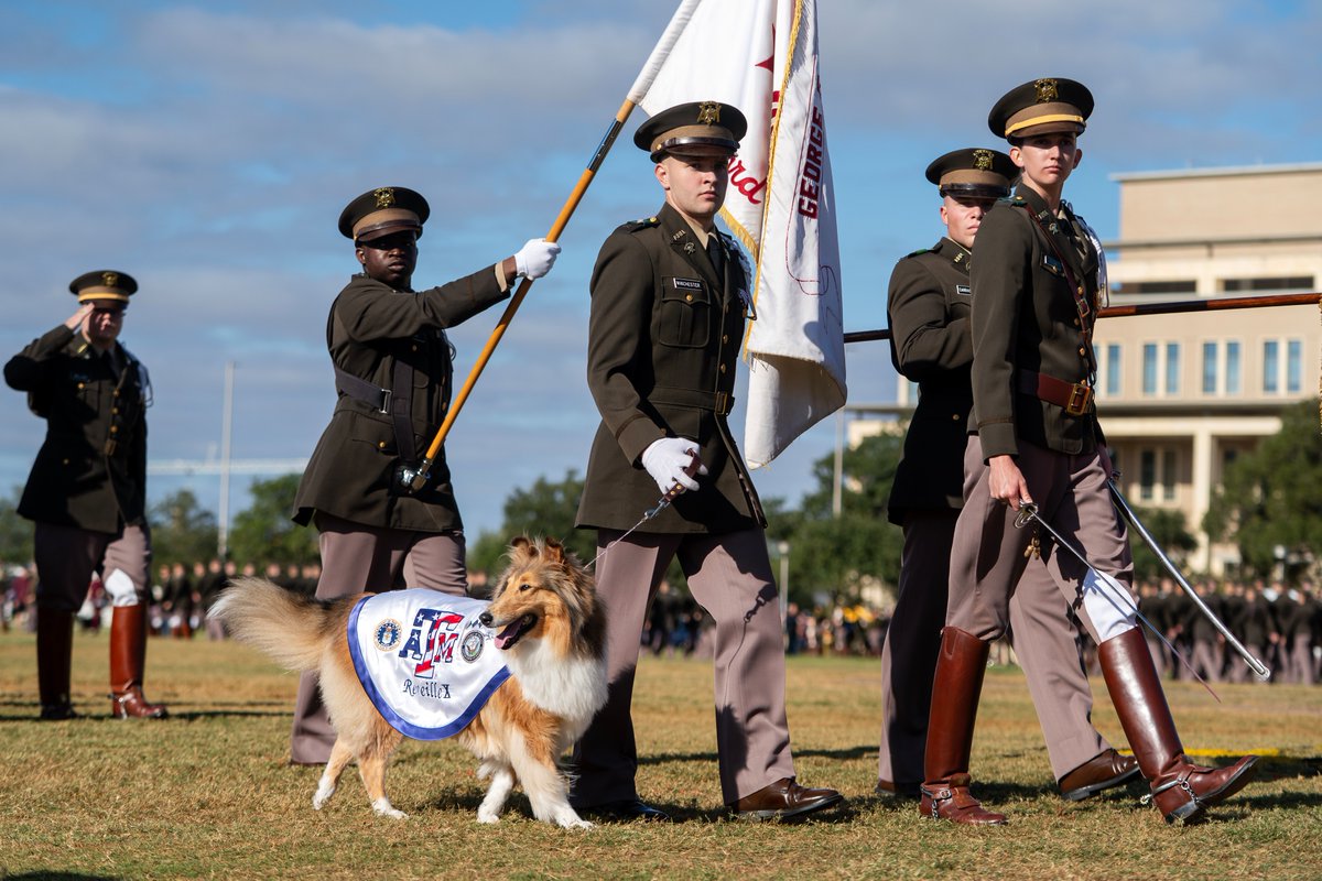 Texas A&M University tweet media