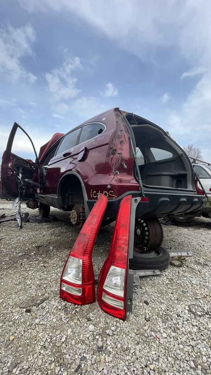 dsk_l2p's tweet image. #USDM してきた🔧
Parkingもyard内も草臭でw

jam行けないから発散になった🏋️