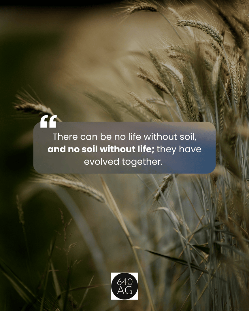 640 Ag - Carbonworks Distributor tweet media