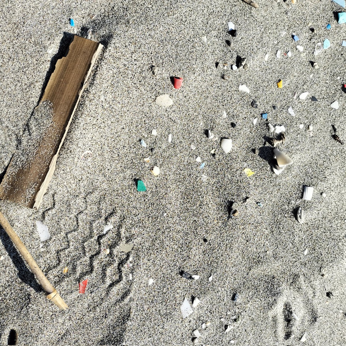 本日は、息子と一緒に  #コスモアースコンシャスアクト 海岸清掃に行ってきました
砂浜には よく見ると思った以上に細かいプラスチック片がありました。
環境問題は難しいですが、綺麗な海の方が気持ちいいですよね😊