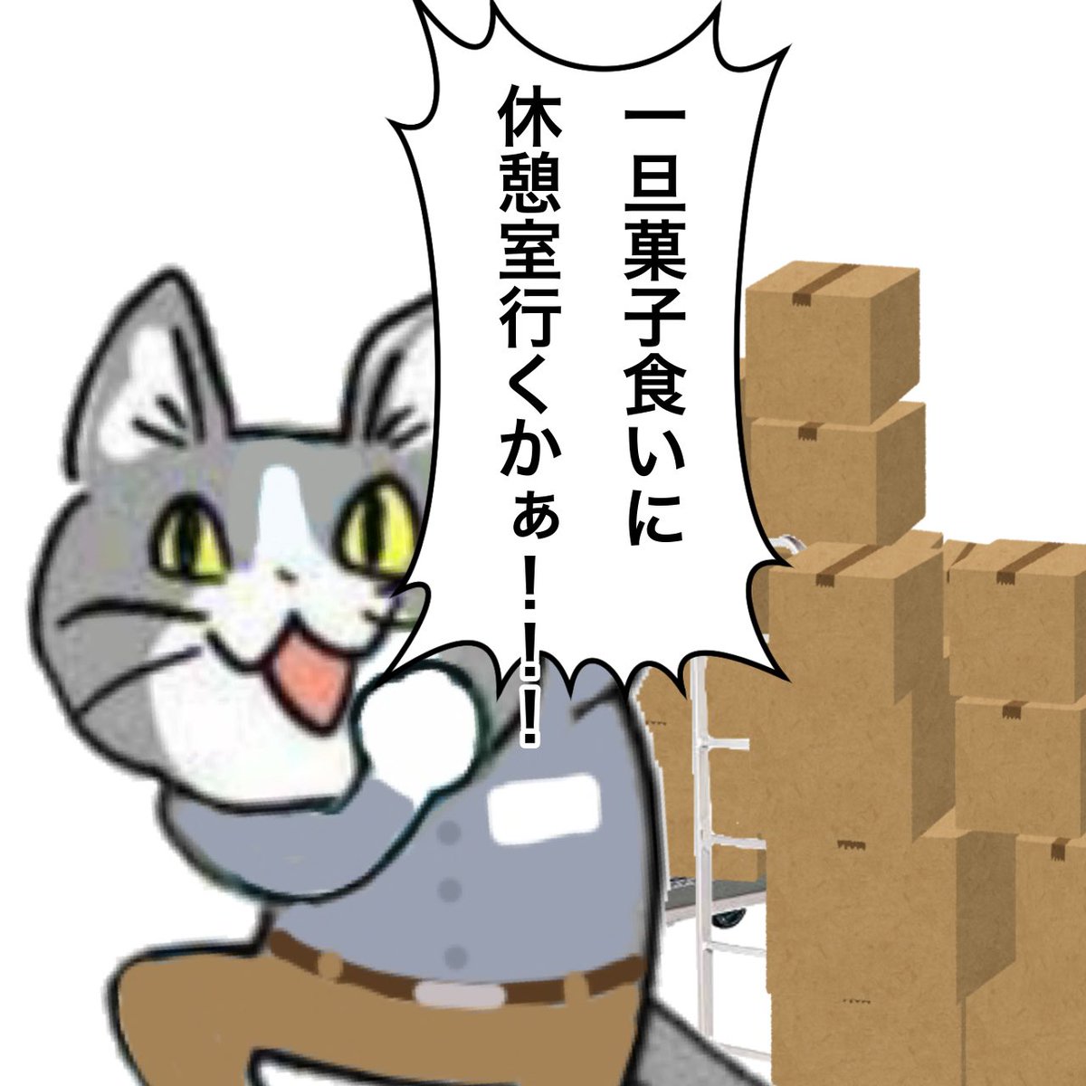 現場猫