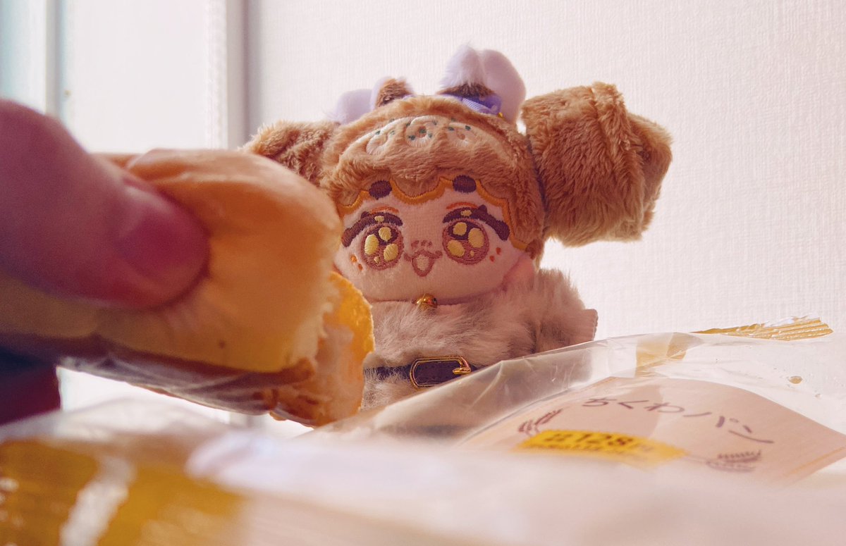 欲しいのに食べさせてもらえないちくわパンちゃん🥖#mogu_____nui