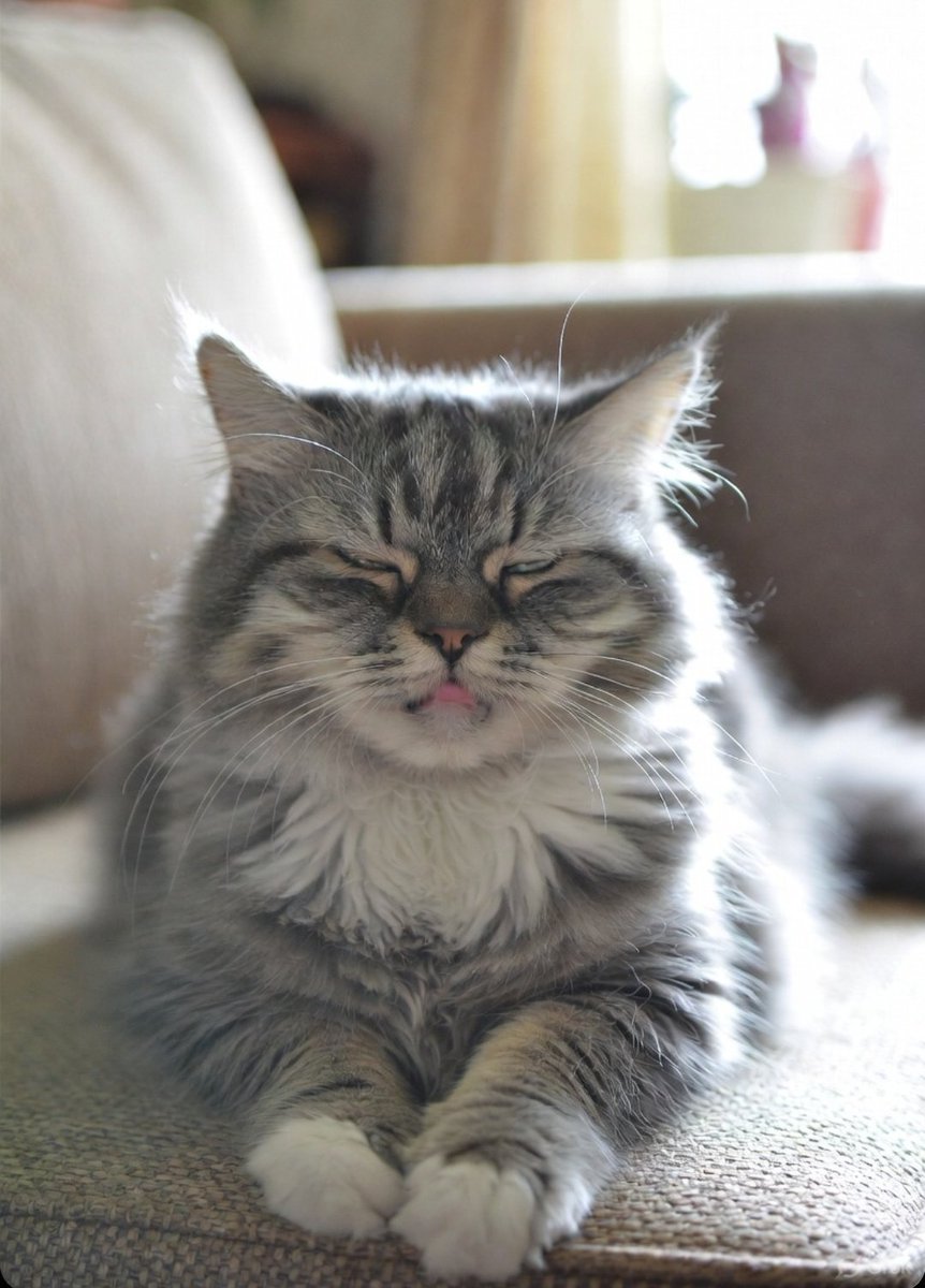 Happy Sunday 😁 Fun Day

Mere saath judne ke liy RT, follow kre , sabko ifb duga