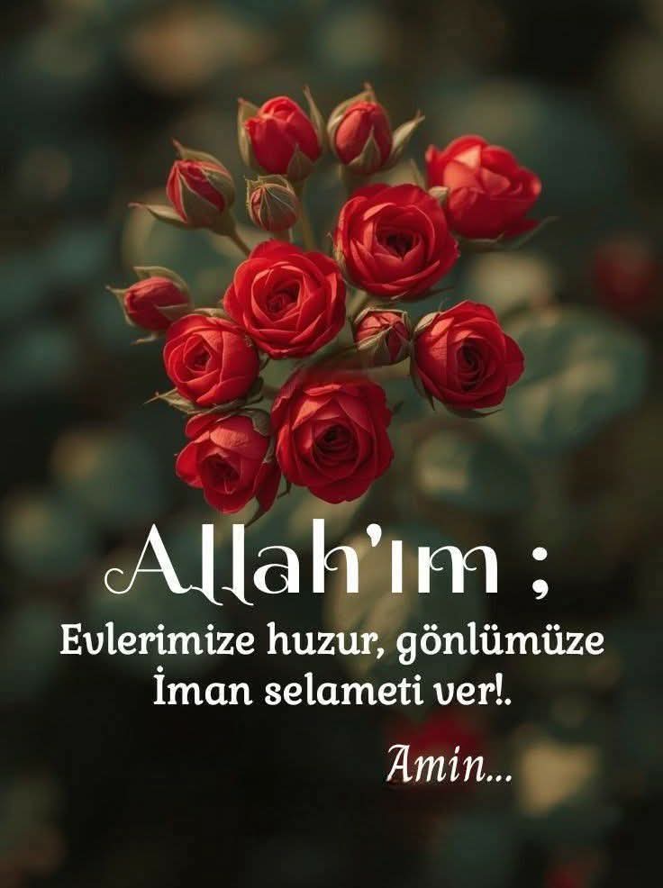 HseyinKaman's tweet photo. #SelamunAleyküm🙋
Yeniden başlamak
Bıkmadan usanmadan yeniden başlamak
Allah'ın insana verdiği en güzel lütuf olsa gerek
#Bizi sabaha ulaştıran #RABBIMe şükürler olsun🤲
#SabahNamazı
#HayırlıSabahlar
#Pazar☕
#winterHosGomeToGaza
#FreePalestineGaza
#GazaSudan
#DoguTurkistan https://t.co/QyBxkuW11B