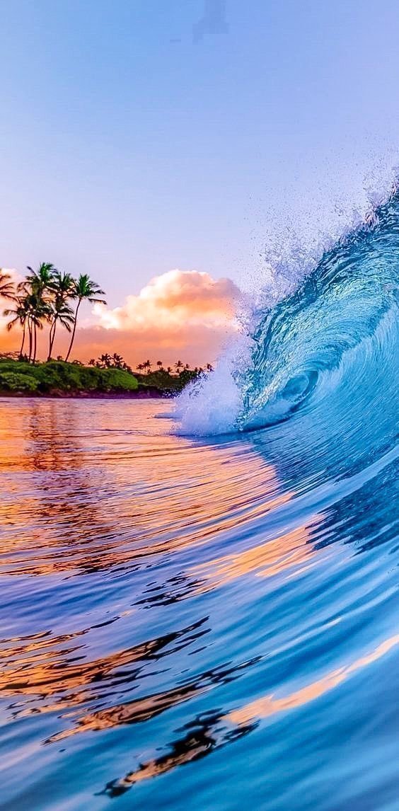 aestheticspost_'s tweet image. 