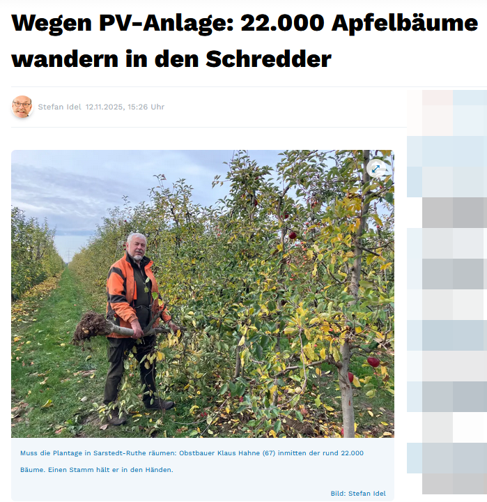 Peter Borbe tweet media