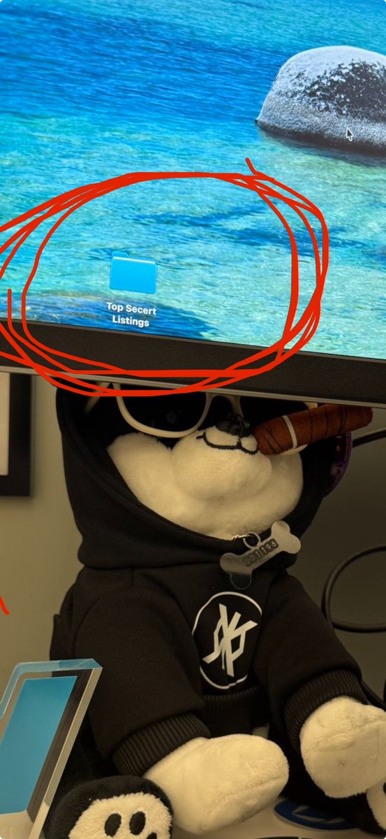 I can’t believe we missed this👀 $DOG