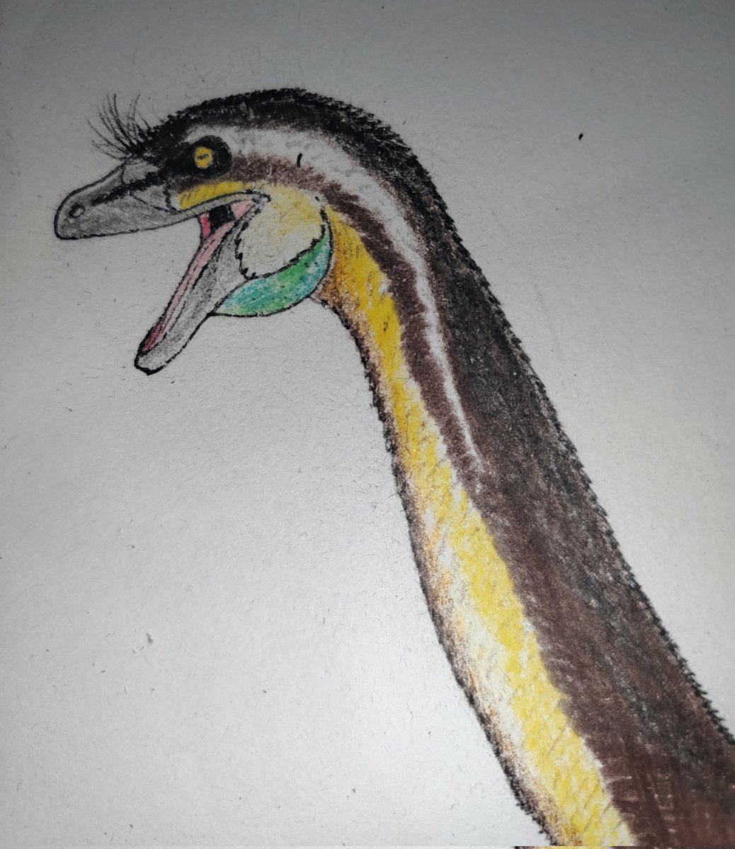 Jurassic_Fan20's tweet photo. #Dinovember: Day 6
Falcarius utahensis
#paleoart #drawing #dinosaur #theropoda #falcarius #maniraptora #therizinosauria https://t.co/XPPW9i80BR