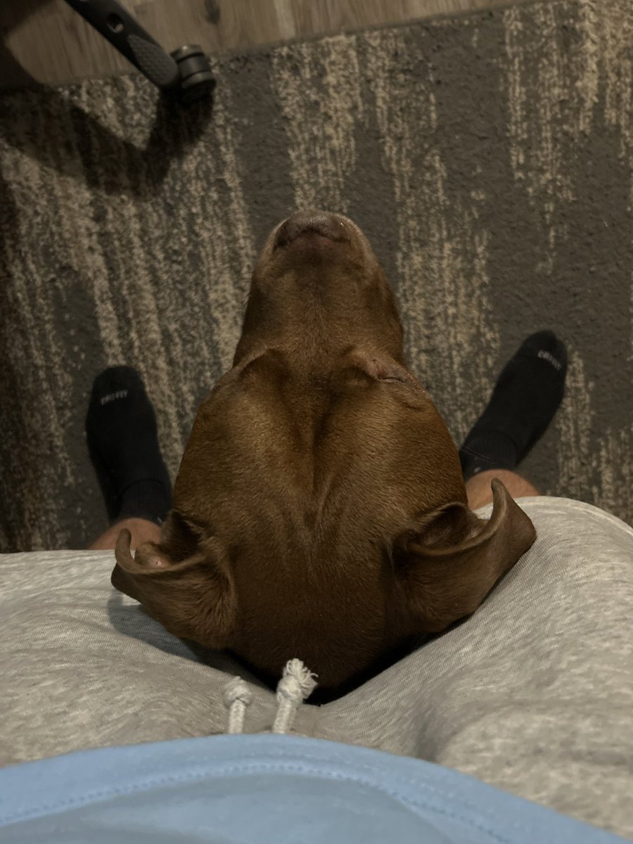 My dog the only nigga happy to see me everyday when I come home. #Twin #Slime