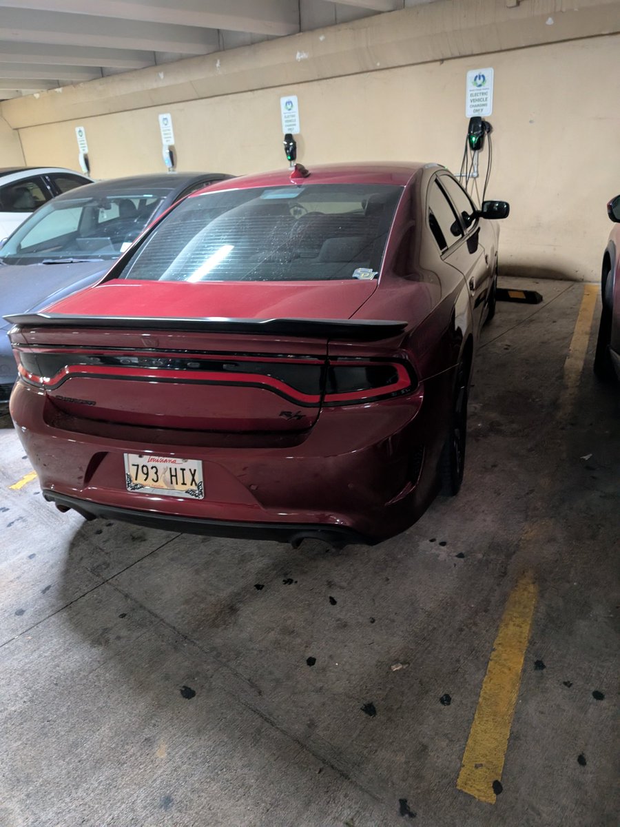 Andrew M. Greenstein 🟦 tweet media