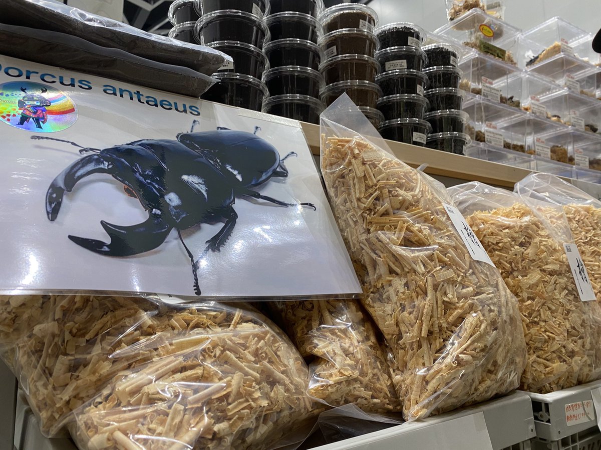 株DAICHI出品. DaicHi (@daichi_0816_KB) / Posts / X