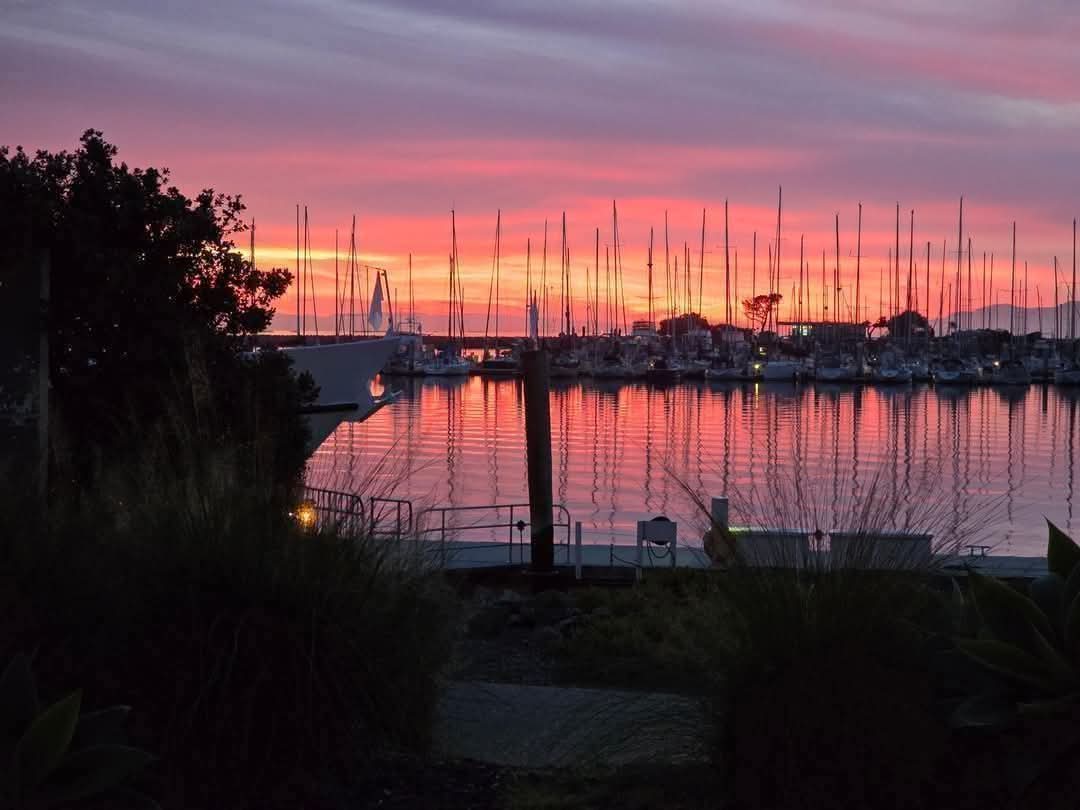 mogarei12's tweet image. An-🍎-for Sunday:

To succeed in life, always follow your strategy, not your mood!

#leadership #strategy #moodchallenge