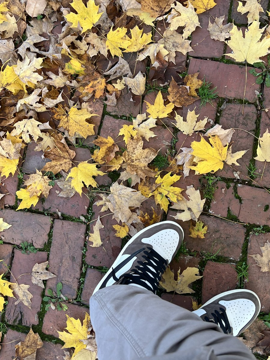 JohnnnnyZ's tweet photo. @natureboichuck @snkr_twitr Wear your kicks people. https://t.co/Sdymww0Bpc