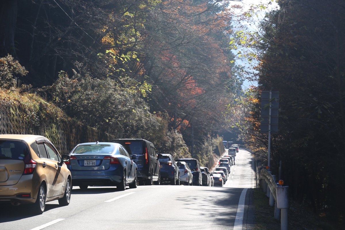 ちせ👻無添加ほのぼのドライブ (@chise_tocot) / Posts / X