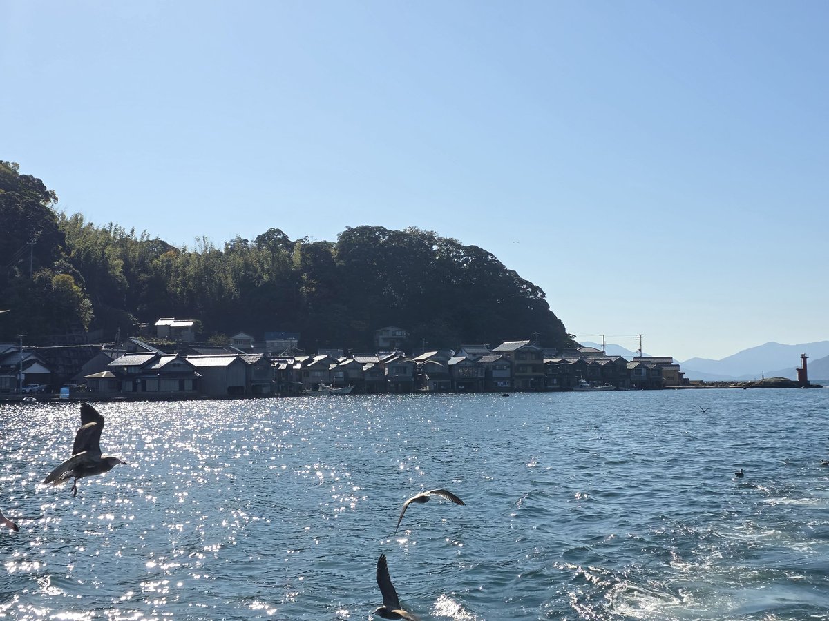 湾内をめぐって舟屋を眺めていた