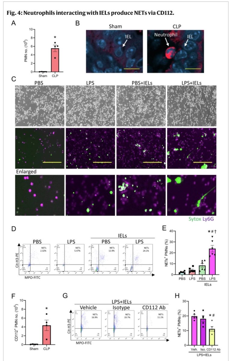Alok Jha tweet media