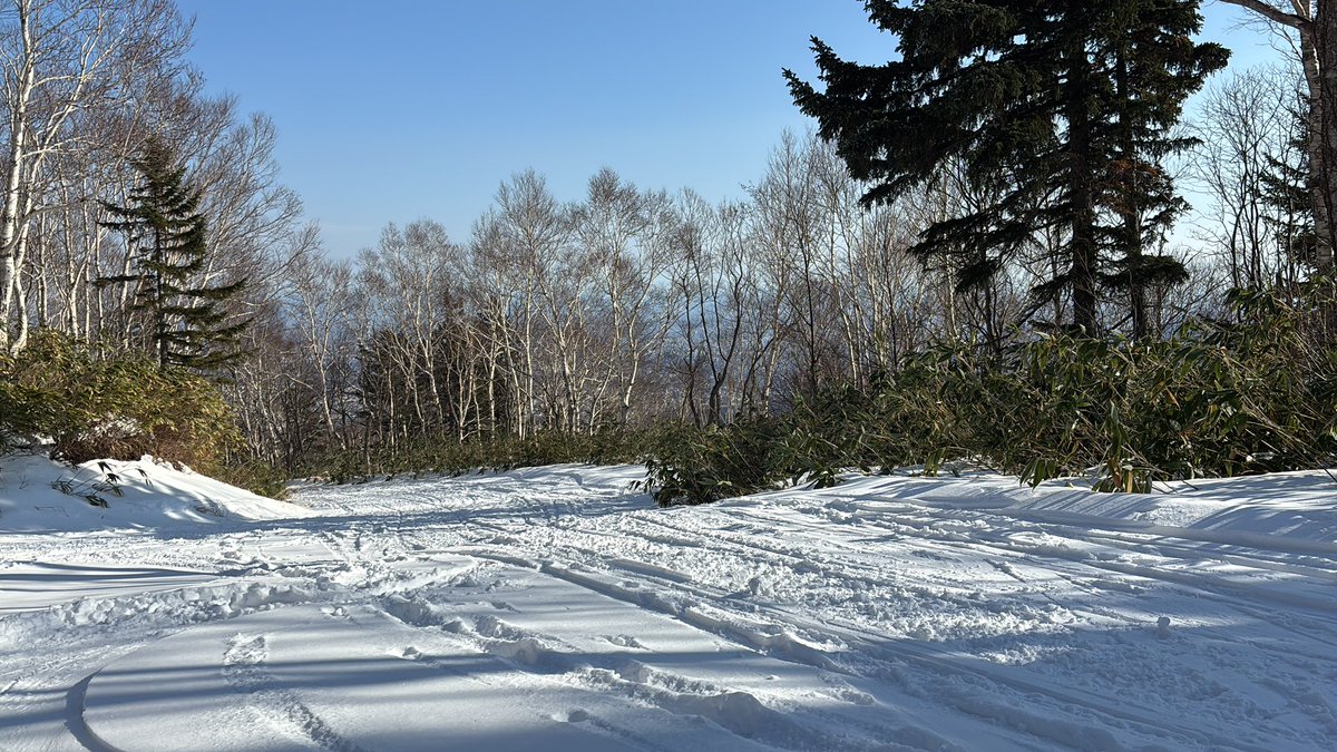 やっしー＠いよいよふってまいりました。 tweet media