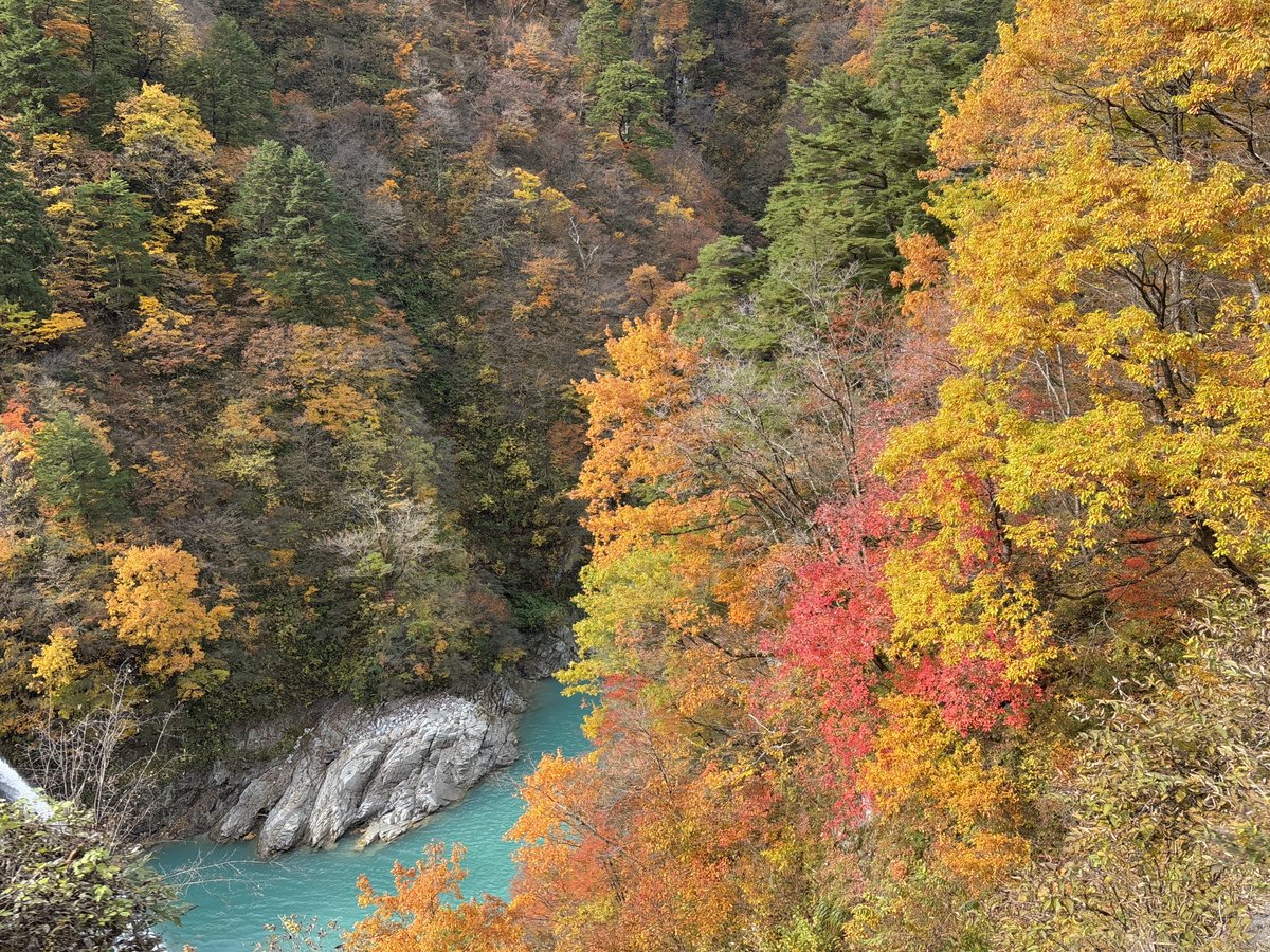 torokkodensya's tweet image. 今日も良い天気☀️
トロッコ電車🚃で、思い出に残る旅をお楽しみくださーい🤗🎶

#黒部峡谷トロッコ電車
