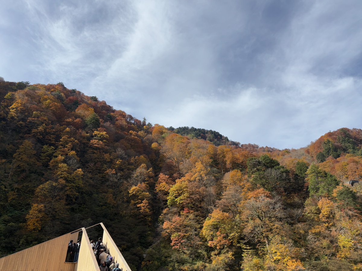 torokkodensya's tweet image. 今日も良い天気☀️
トロッコ電車🚃で、思い出に残る旅をお楽しみくださーい🤗🎶

#黒部峡谷トロッコ電車