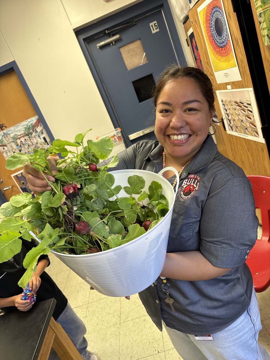 BethuneBulls's tweet image. Our one and only Teacher of the Year, Mrs. Cantu, led students outside to our school garden and harvested  radishes! It’s exciting to see our garden growing🫜🪏🪴👩🏽‍🌾 #FridayFun #Region4SayNoMore @EDAmaya04