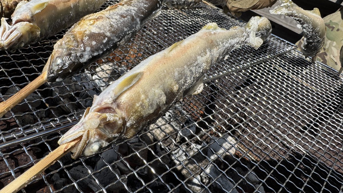 isfzerobase's tweet image. .

ｱﾕﾃﾞｪ~ｽ🐟

《ご予約状況》
11月23日(日)🎌27名様🐟
11月24日(月)🎌8名様🐟
11月26日(水)🔰1名様
12月15日(月)1名様

ご予約はこちら💁‍♂️
onl.tw/WWdnM9A 
☎︎07085900639
#ZEROBASE
#ZEROACTION
#どんげ屋
#ゼロベース
#宮崎サバゲー
#鹿児島サバゲー
#熊本サバゲー
#大分サバゲー